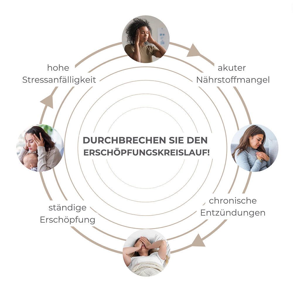 Infografik Erschöpfungskreislauf